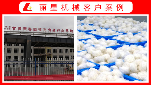 甘肅聚春園引進(jìn)麗星水晶粉絲生產(chǎn)線(xiàn)、酸辣粉加工設(shè)備正式投產(chǎn)