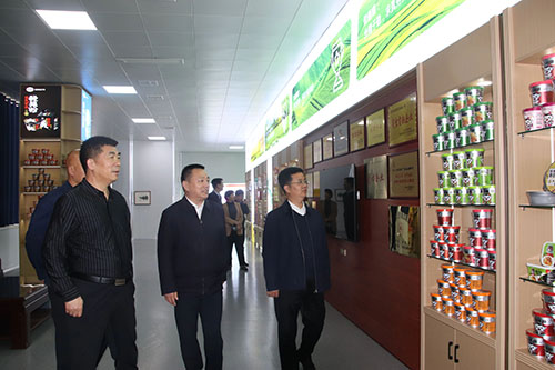 國家、省、市鄉(xiāng)村振興局等**一行蒞臨麗星公司進(jìn)行調(diào)研工作